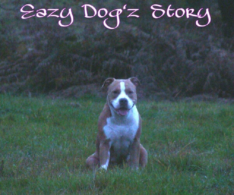 tatar's Eazy (dogz story)